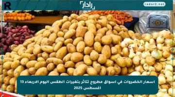 أسعار الخضروات في أسواق مطروح تتأثر بتغيرات الطقس اليوم الأربعاء 13 أغسطس 2025